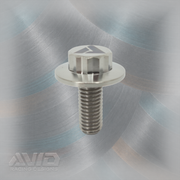 AVID Racing Titanium 12 Point Oversized Flange Bolt, M8 x 1.25 x 20 mm | AVID Racing — Front View — M8-T12OFB-20x0-125_04 [AVID:66ee1b88-22b9-4f29-a7f0-f2f6b015c93c] [AVID-VERSION:3d4c016d-9945-423a-a233-0dfcb0eb3b7c]