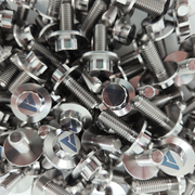 AVID Racing Titanium 12 Point Oversized Flange Bolt, M8 x 1.25 x 20 mm | AVID Racing — Hardware Pile Detail — M8-T12OFB-20x0-125_01 [AVID:83551441-e037-43c5-a6bb-d5cec348d765] [AVID-VERSION:393d2a38-e1f1-4889-9bef-66e3938564cd]