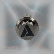 AVID Racing Titanium 12 Point Flange Bolt, M10 x 1.25 x 35 mm | AVID Racing — Head Detail — M10-T12FB-35x0-125_01 [AVID:bf64ab48-a701-4b4c-9215-75af1c9e92aa] [AVID-VERSION:6bd25f94-8a2a-406a-a3f3-5caea34bba8b]