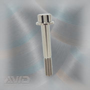 AVID Racing Titanium 12 Point Flange Bolt, M10 x 1.25 x 55 mm, 25 mm Thread | AVID Racing — Front View — M10-T12FB-55x30-125_04 [AVID:88864d07-b613-4724-af5e-8889e22b4746] [AVID-VERSION:4873e6b3-3018-423a-8246-227e8646611a]