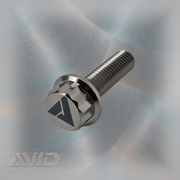 AVID Racing Titanium 12 Point Flange Bolt, M8 x 1.25 x 30 mm | AVID Racing — Single Bolt Detail — M8-T12FB-30x0-125_02 [AVID:fbac11d3-0712-4019-8a24-eae7d78c8abd] [AVID-VERSION:6a5c4fc1-c22e-48af-90a4-51b1f4361a71]