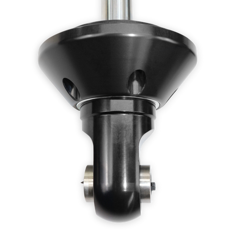 Photo - Close Up [AVID:6b352ae5-48f3-4e30-af66-2bff1168e148]