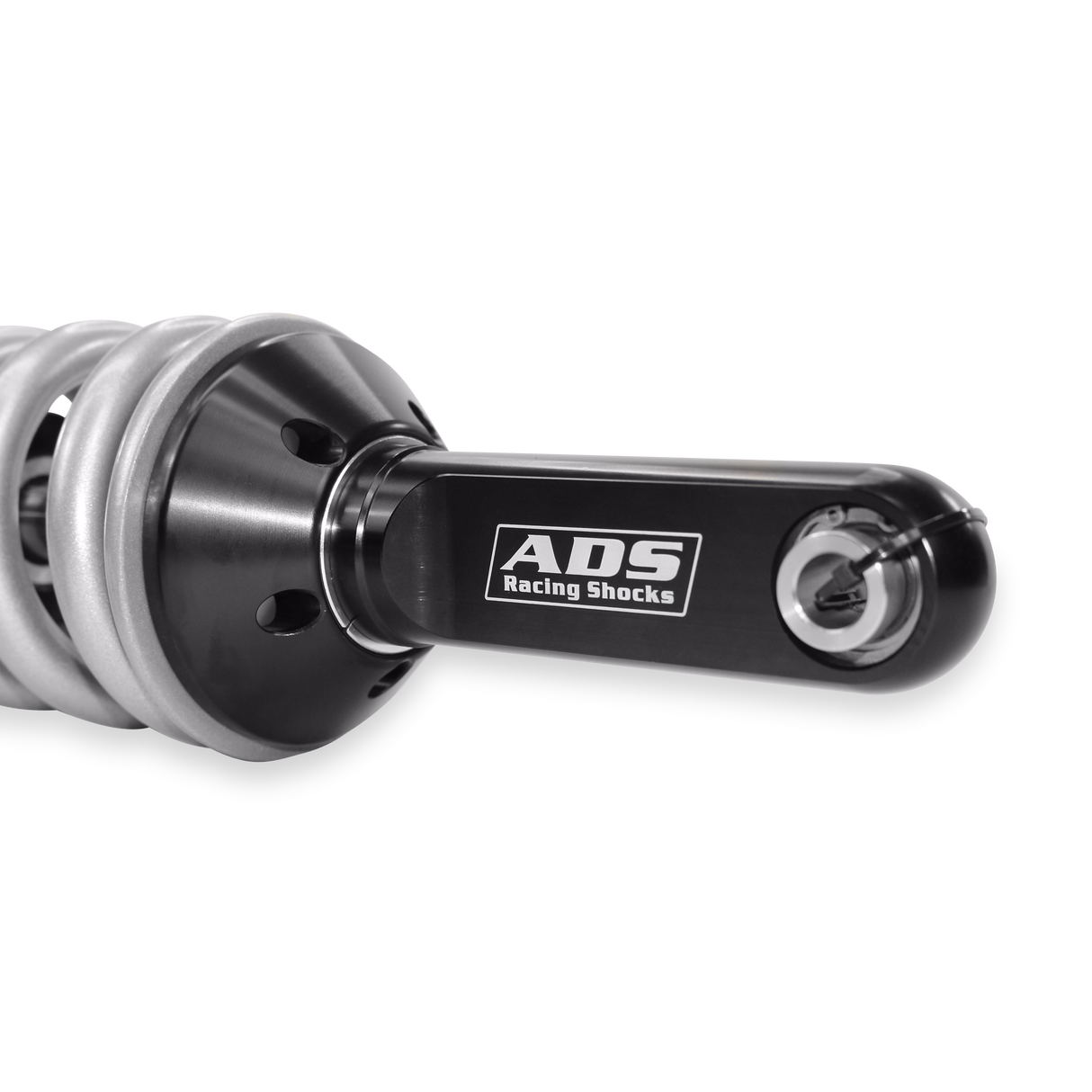 Photo - Close Up [AVID:d4ada91c-be7f-4e81-aec7-5c6abe909323]