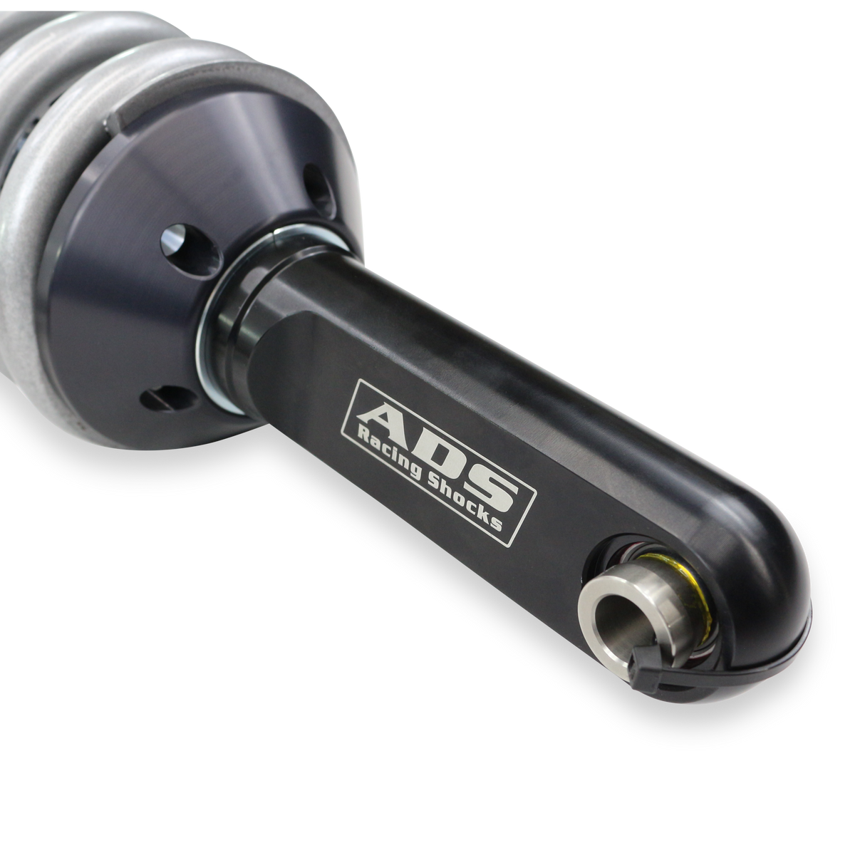 Photo - Close Up [AVID:13036a58-298e-40cc-b684-37472bba1fbd]