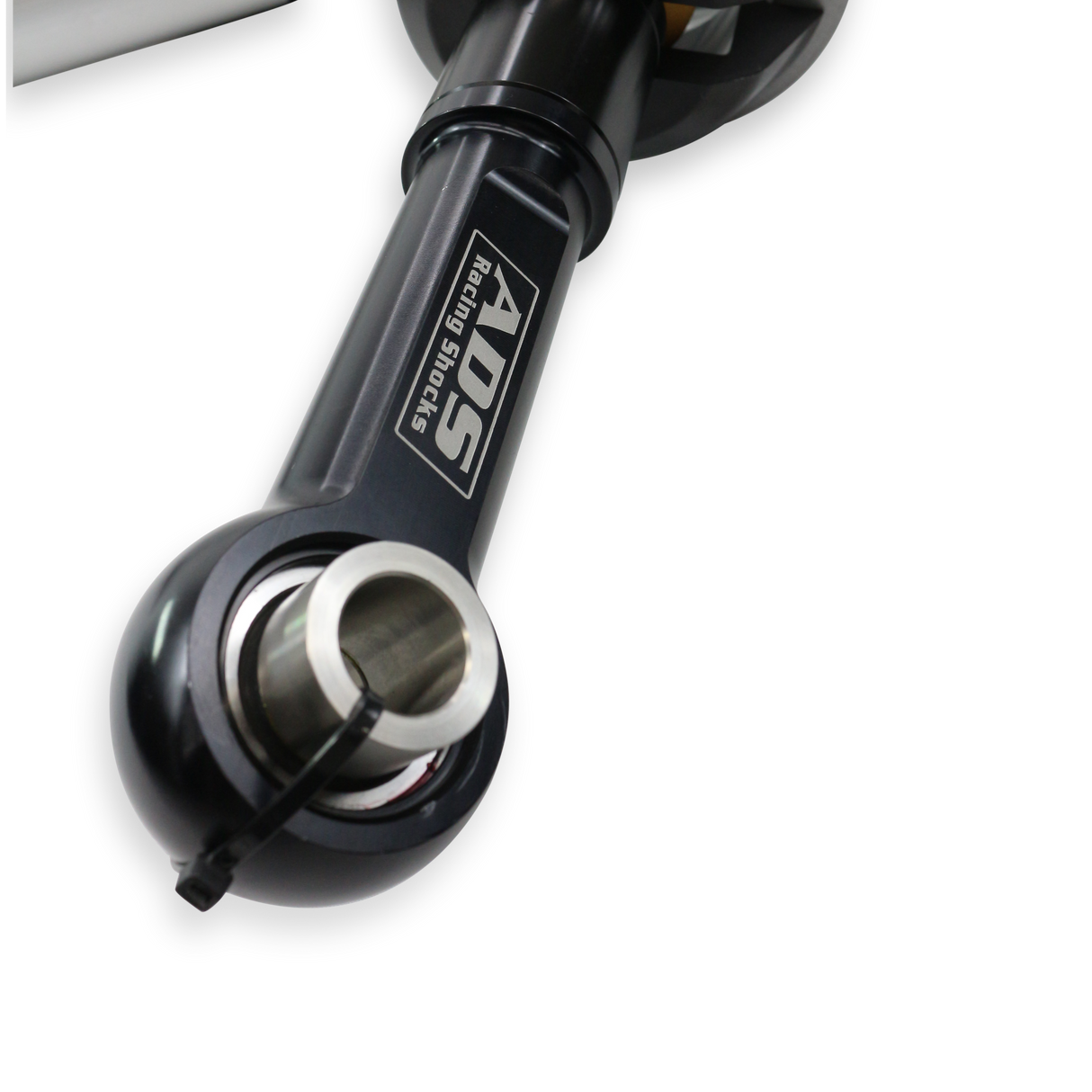 Photo - Close Up [AVID:e10dba67-fedc-415b-bfe0-b4c0766e54c1]