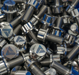 AVID Titanium Bolt, 12 Point, M10x1.25 X 20MM