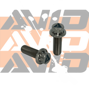 AVID titanium 12-point flange bolt product image