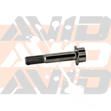AVID Titanium Bolt, 12 Point,  M10x1.25 X 55MM X 25mm