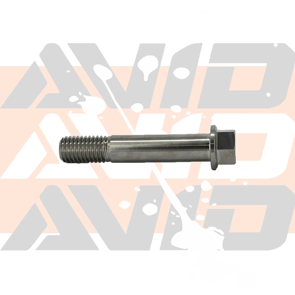 AVID Racing Titanium Bolt, 6 Point on branded background