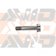 AVID titanium 12-point flange bolt product image