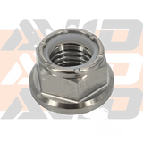 AVID Titanium Lock Nut, 12MM - AVID Racing